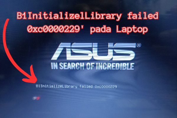 B1InitializelLibrary failed 0xc0000229